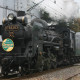 Steam Locomotive – The Paleo Express
