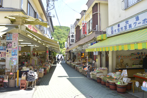 Nagatoro Shopping District