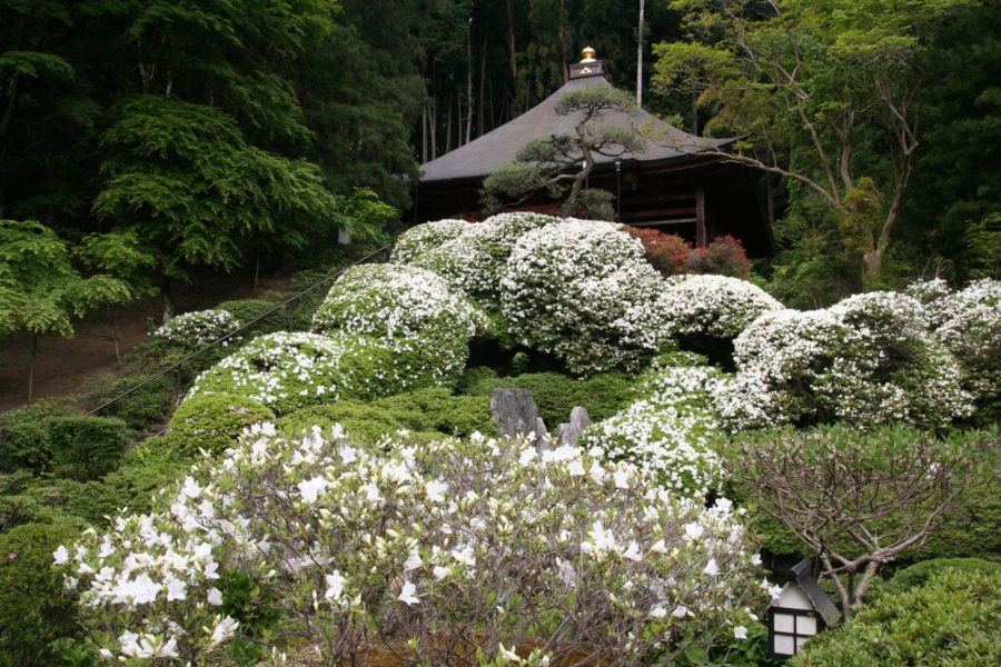 Chichibu Fudasho No.30 Houn-ji Temple