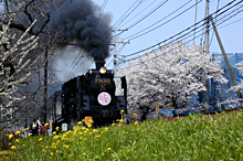 나가토로의 볼거리