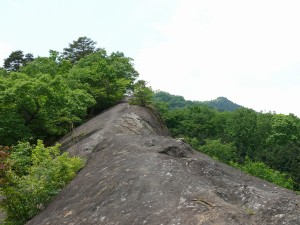 小鹿野町法性寺のお船岩